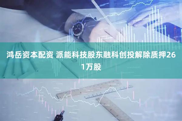 鸿岳资本配资 派能科技股东融科创投解除质押261万股