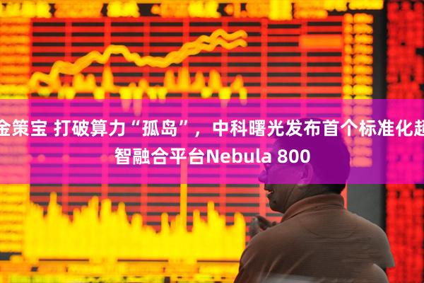 金策宝 打破算力“孤岛”，中科曙光发布首个标准化超智融合平台Nebula 800